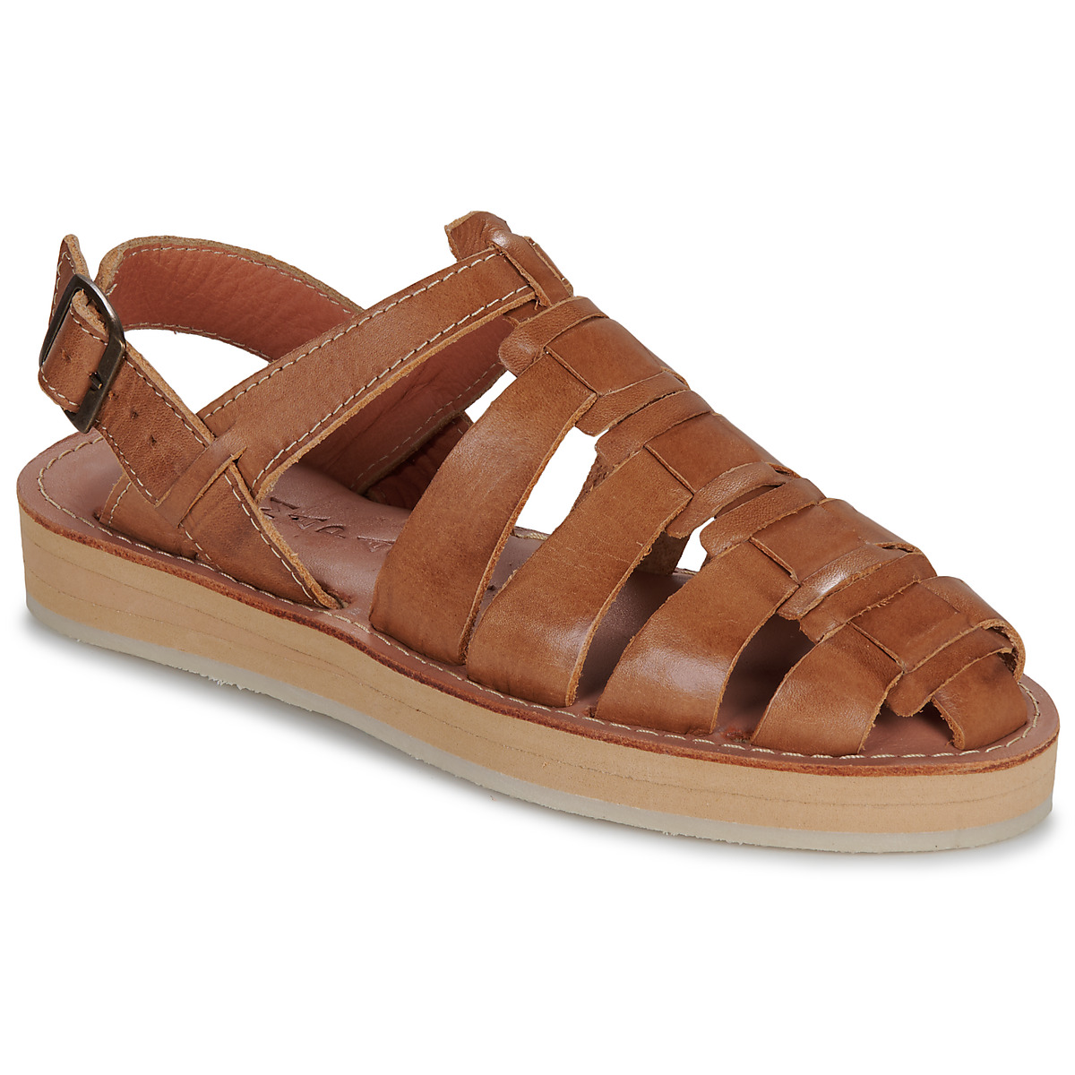 Mapache - DIEGO - Camel