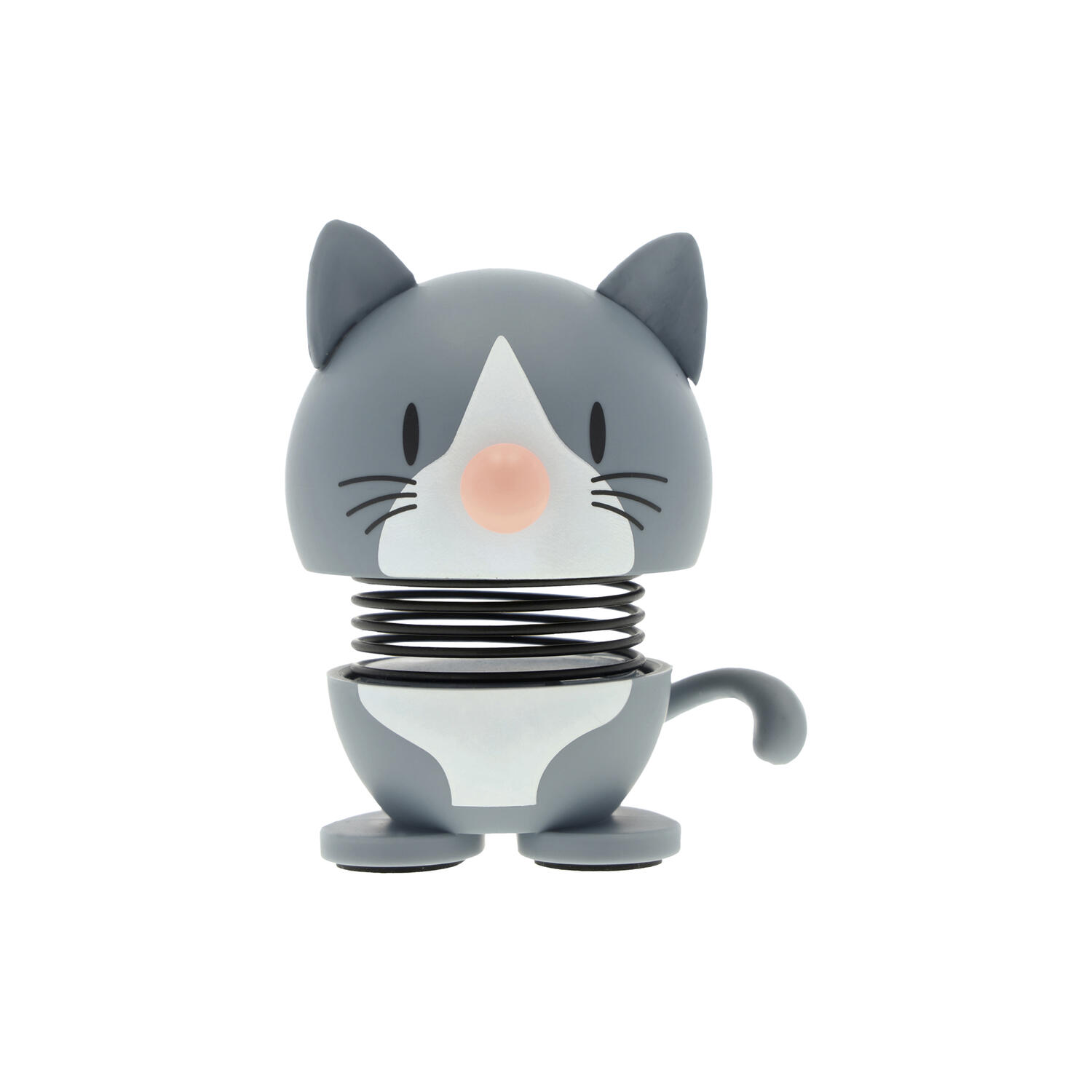 Blue American Shorthair, blue