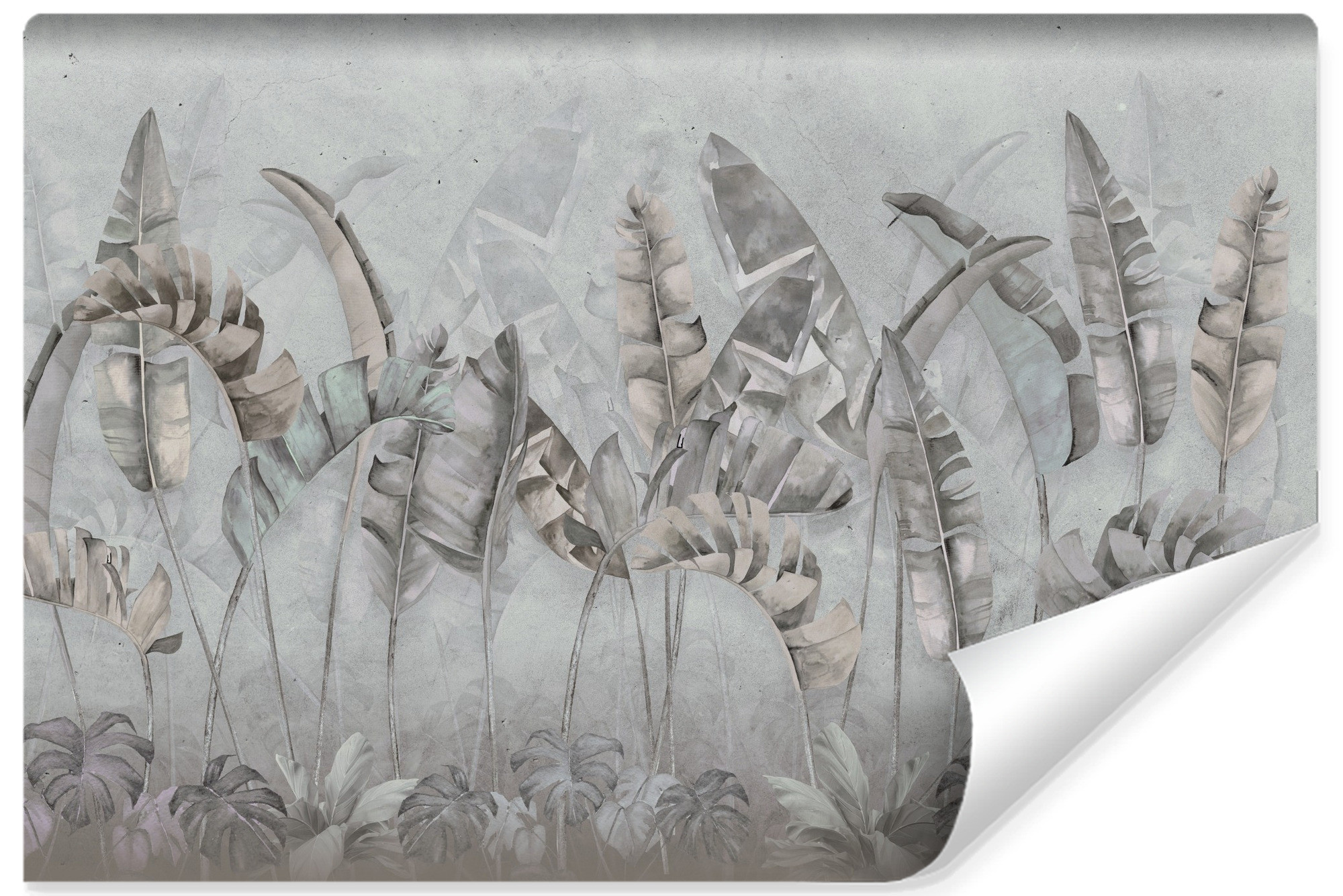 Fototapeta Abstrakcyjne Liście Bananowe 90x60cm