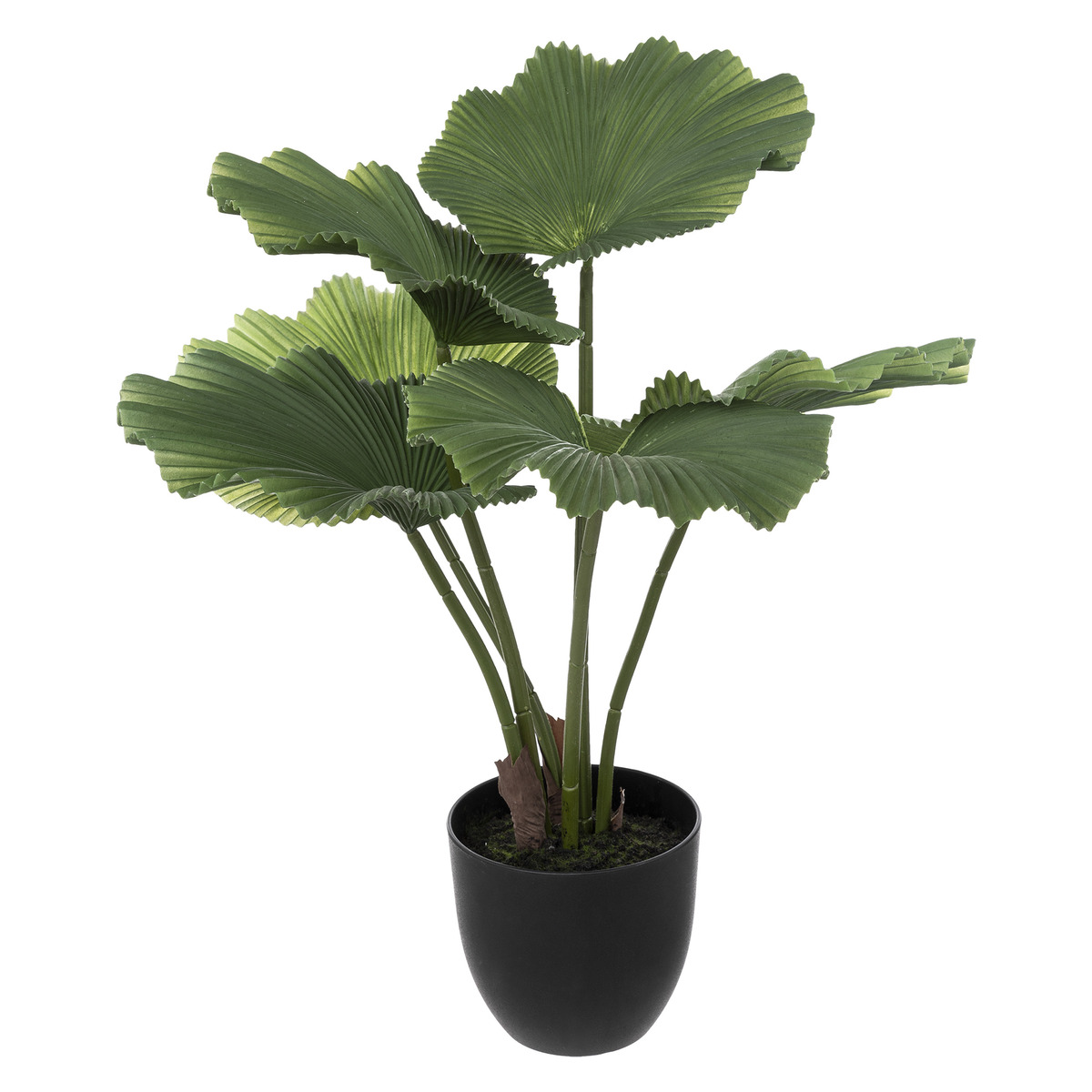 Artificial palm tree H.65 cm