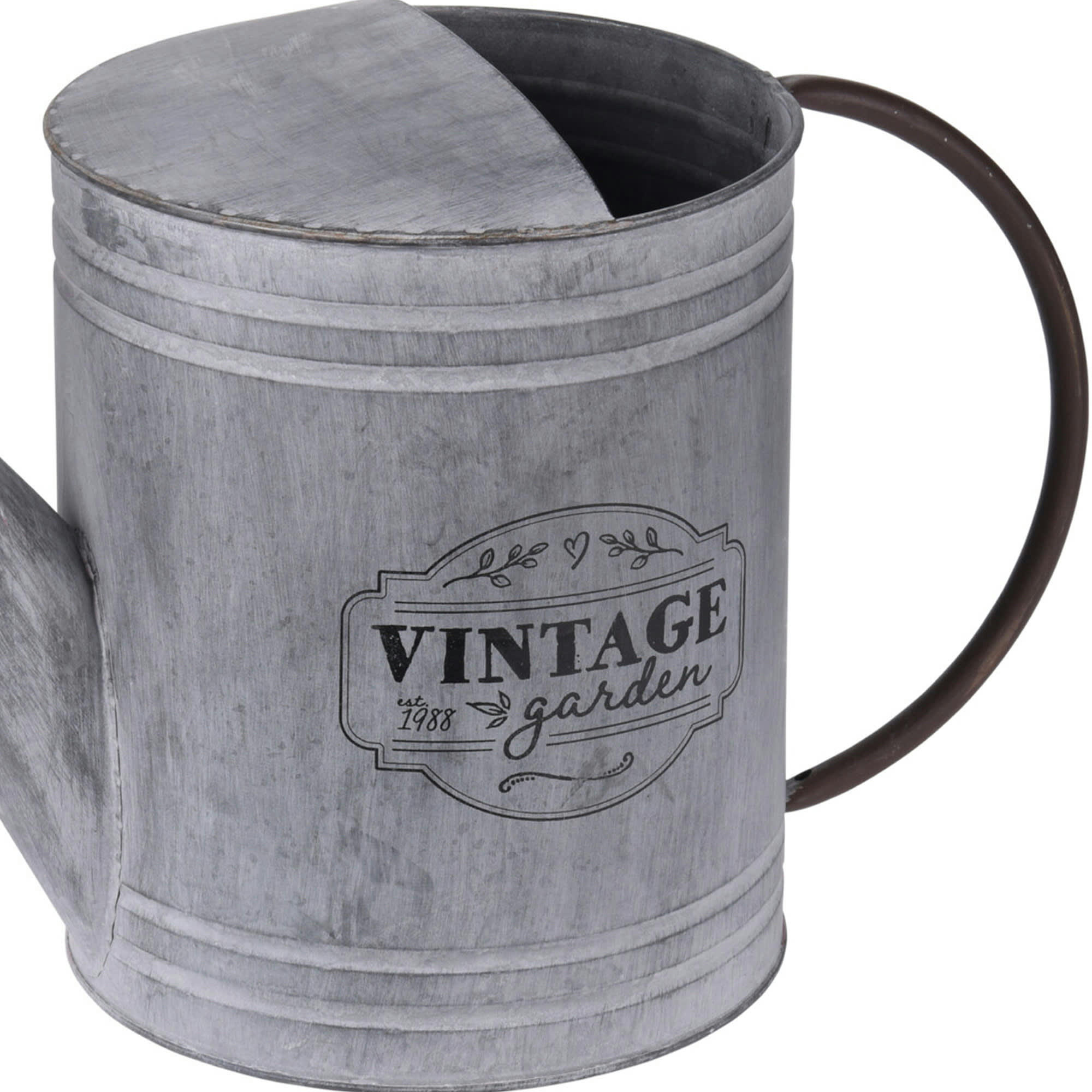 - Arrosoir en zinc déco