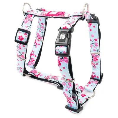 Max & Molly Cherry Bloom H-Harness