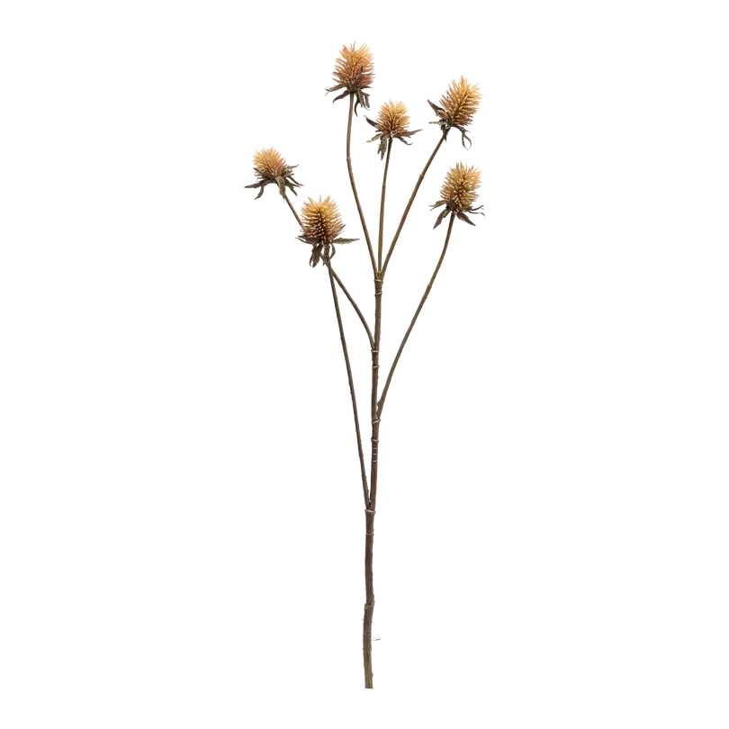 Dekozweig Dried-Grass