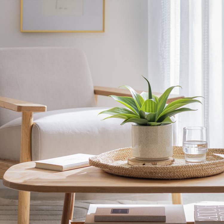 Habitat Artificial Aloe in Reactive Glazed Pot