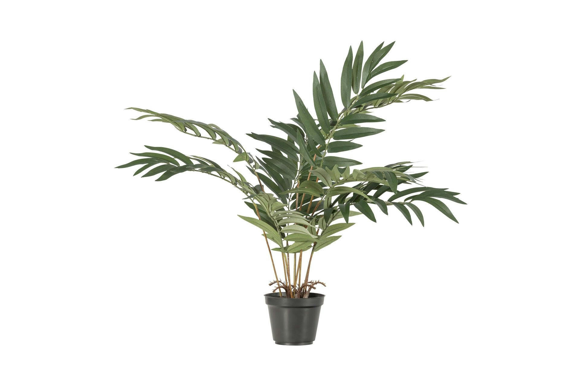 KWAI - Plante artificielle verte H68