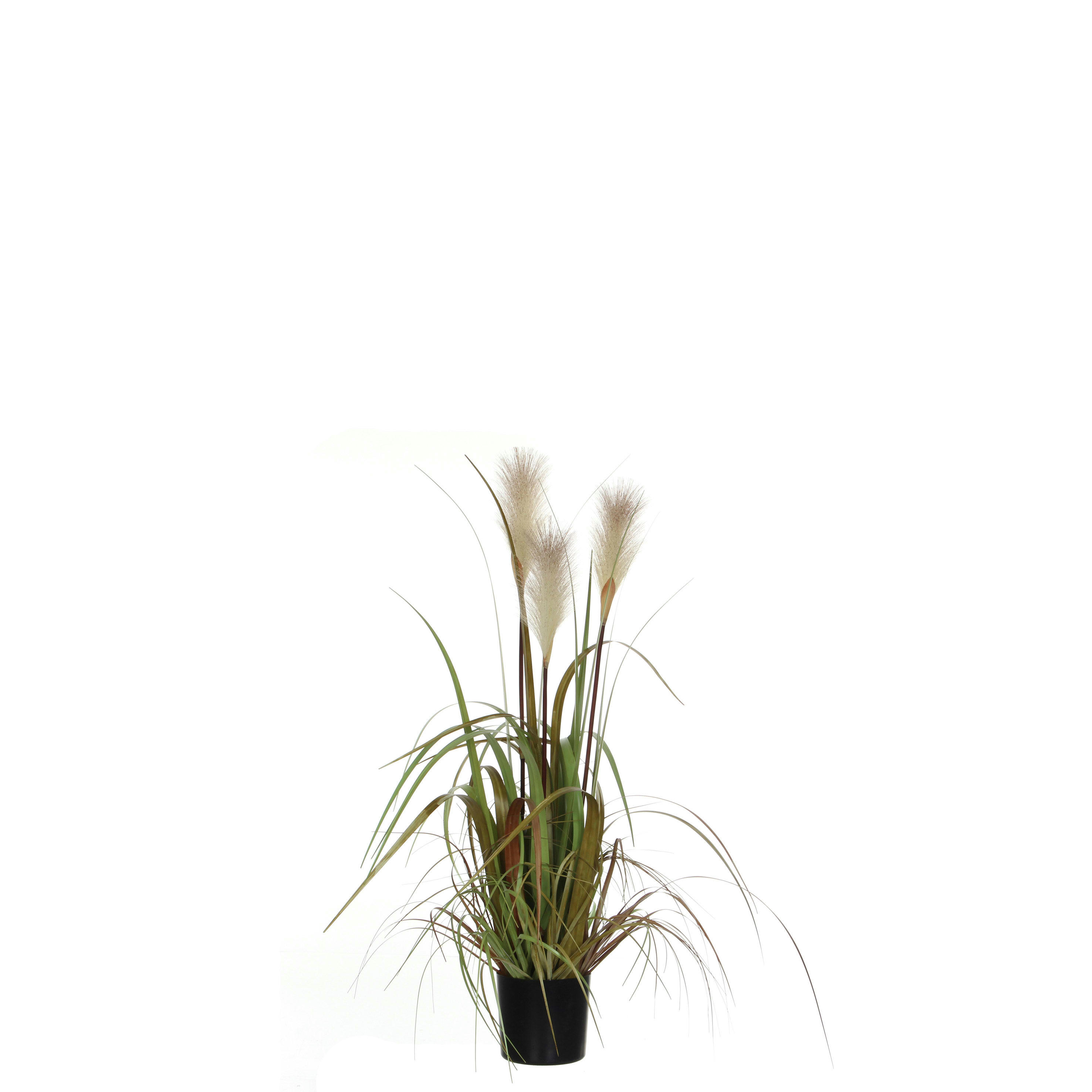 - Herbe fogtail artificielle en pot H81