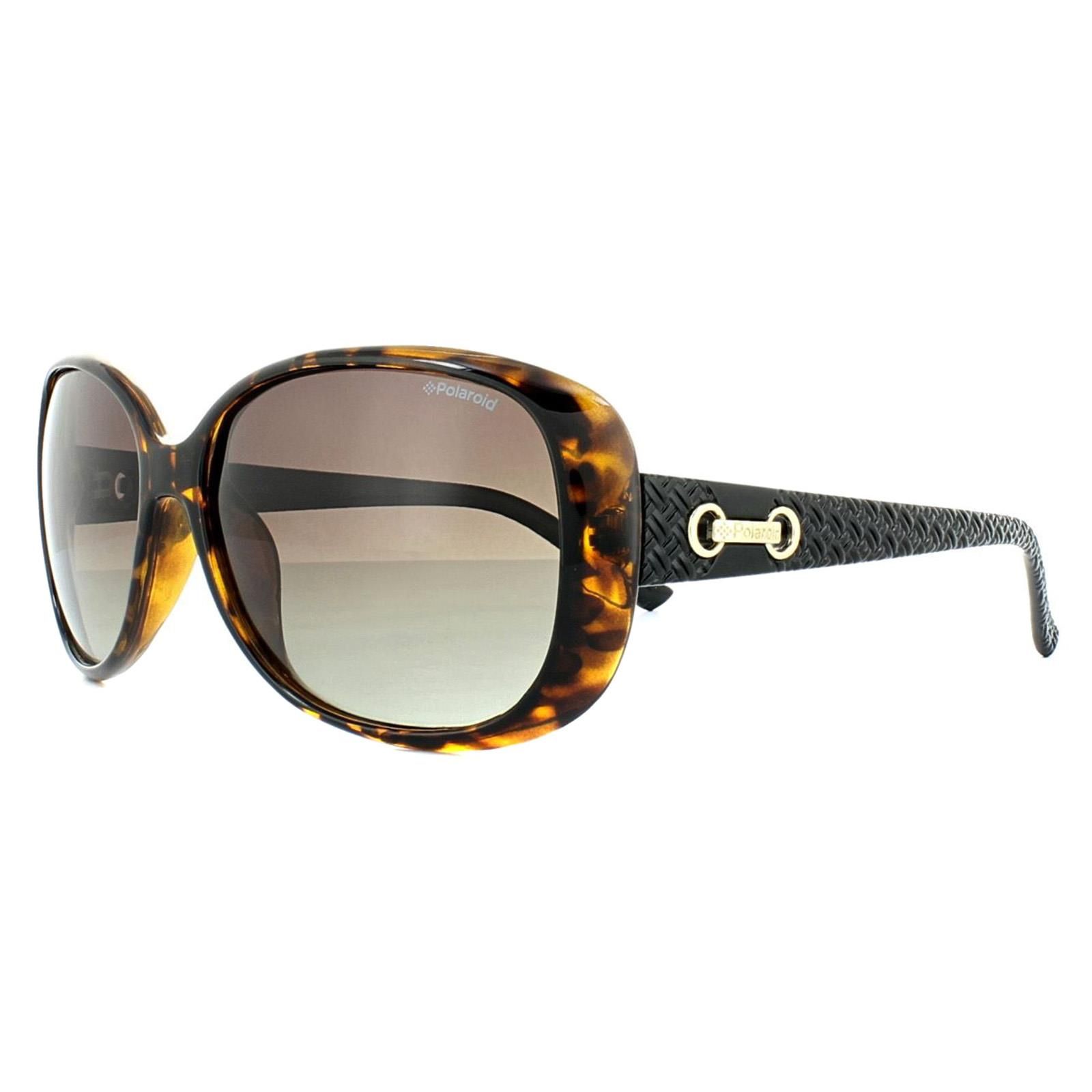 Polaroid Fashion Havana Black Brown Gradient Polarized Sunglasses