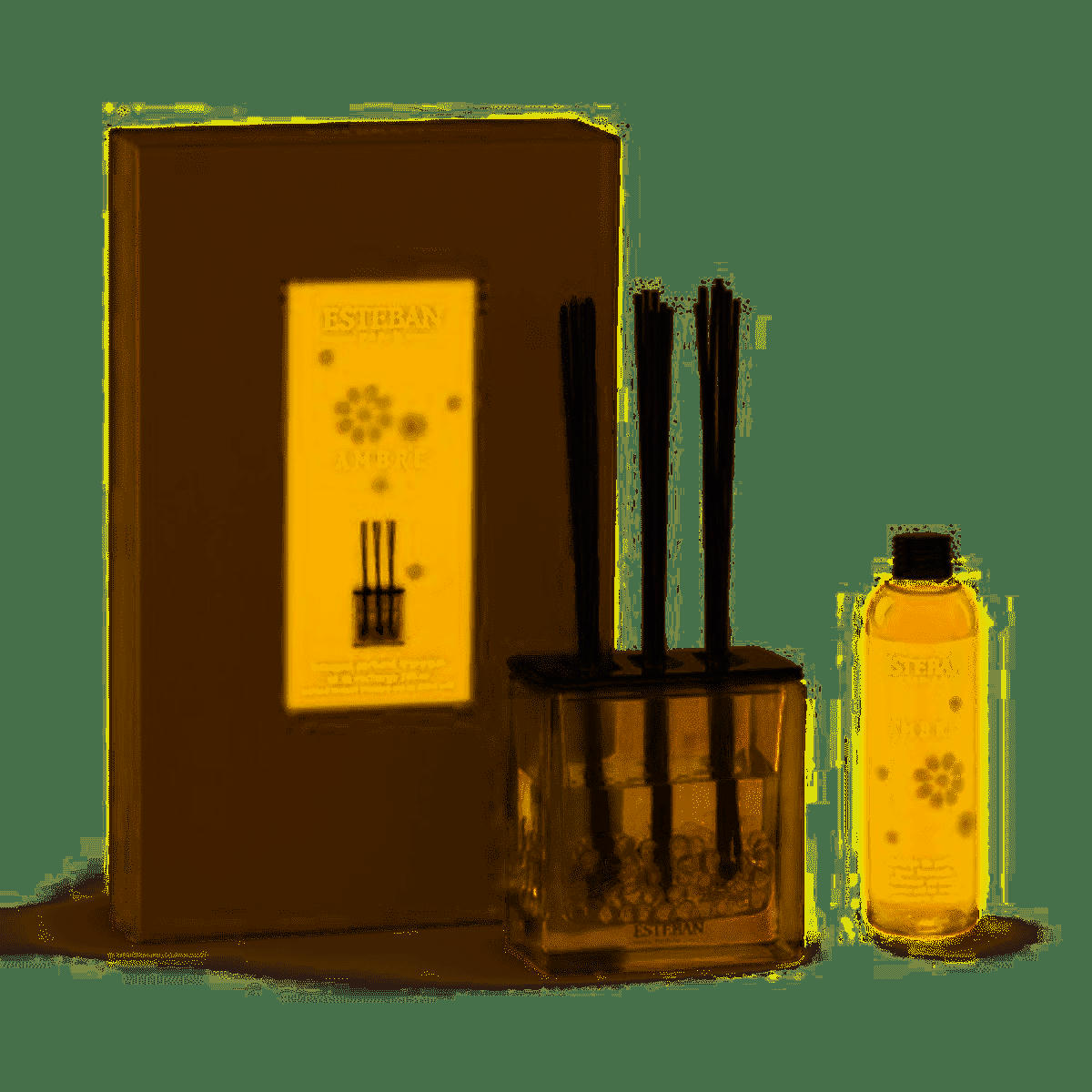 AMBRE - Bouquet parfumé triptyque 250ml