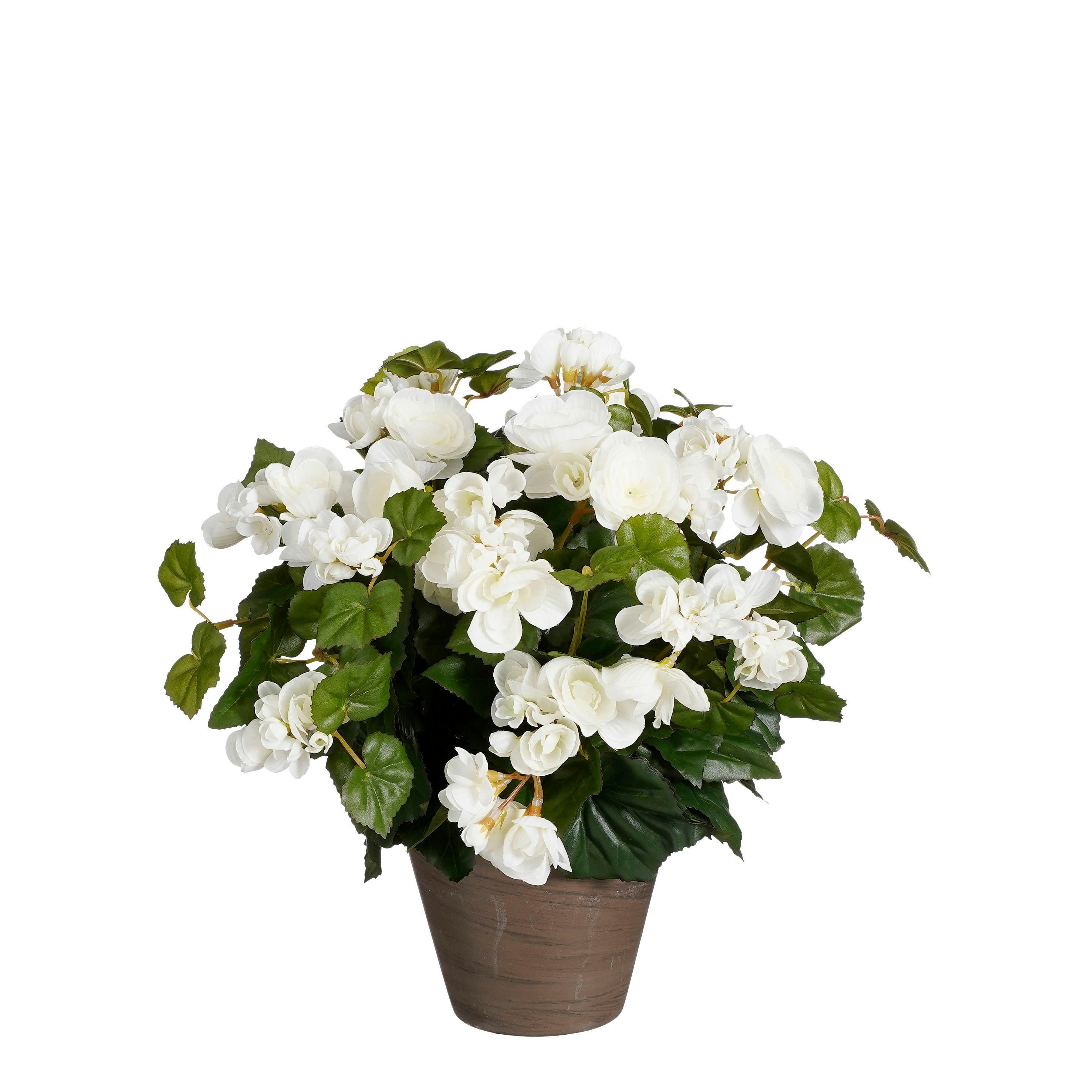 - Bégonia artificielle blanc en pot H37