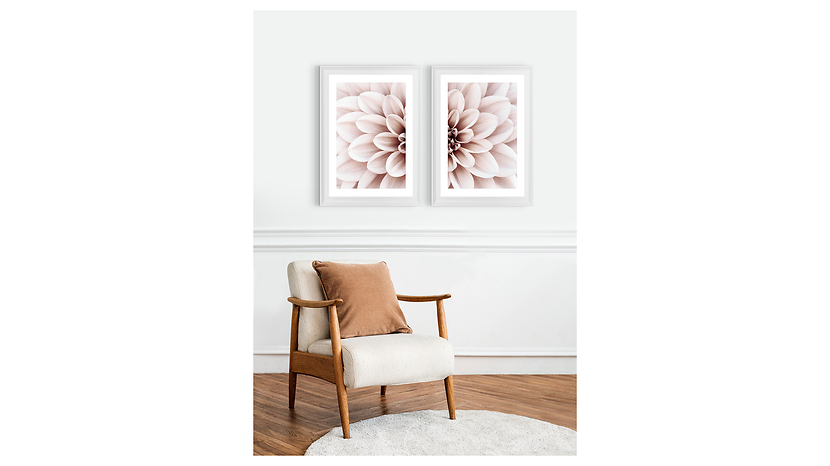 Obraz w ramie Powder Dahlia No.1 58x78 cm