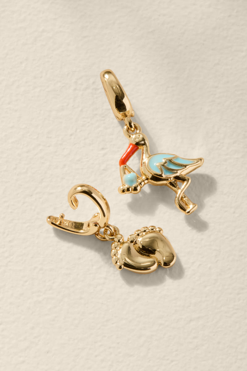 Blue Stork and Baby Feet Gold Charm Set