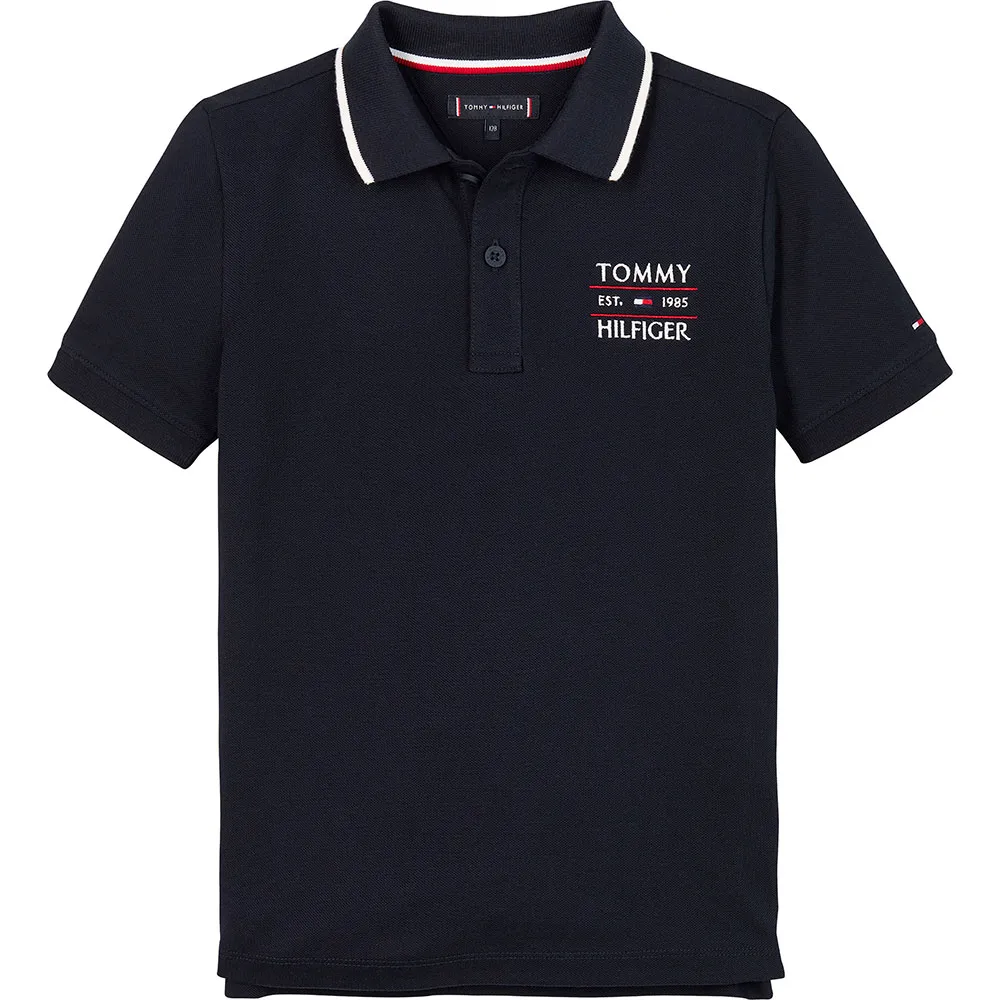 Tommy Hilfiger Flag Regular Fit short sleeve polo