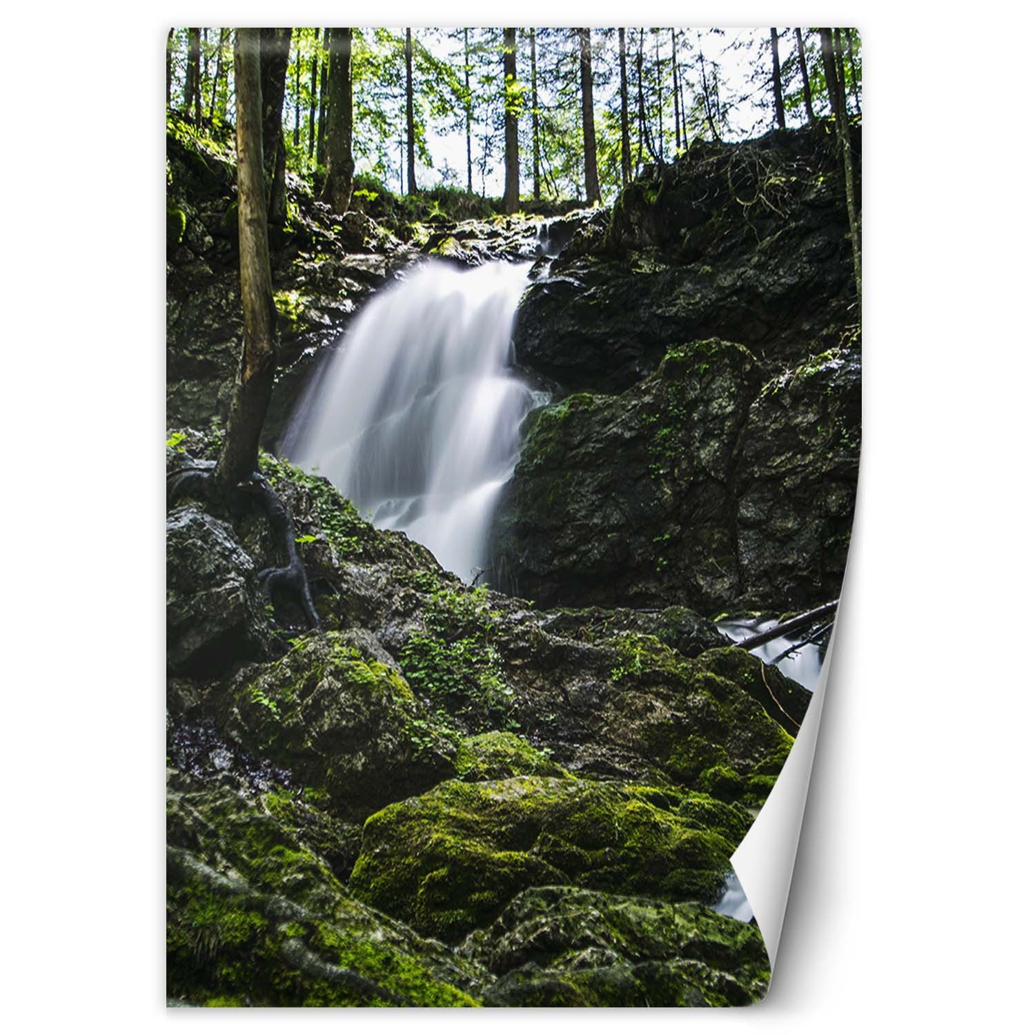 Feeby Fototapeta, Wodospad w lesie 100x140