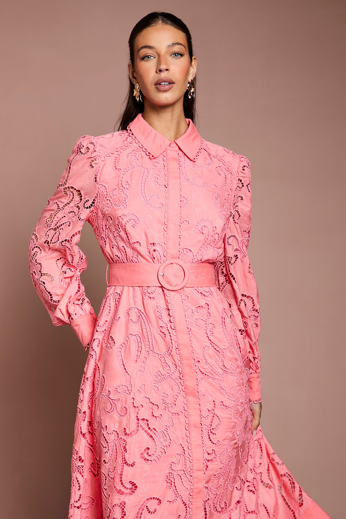 Coast Embroidered Cutout Belted Shirt Dress