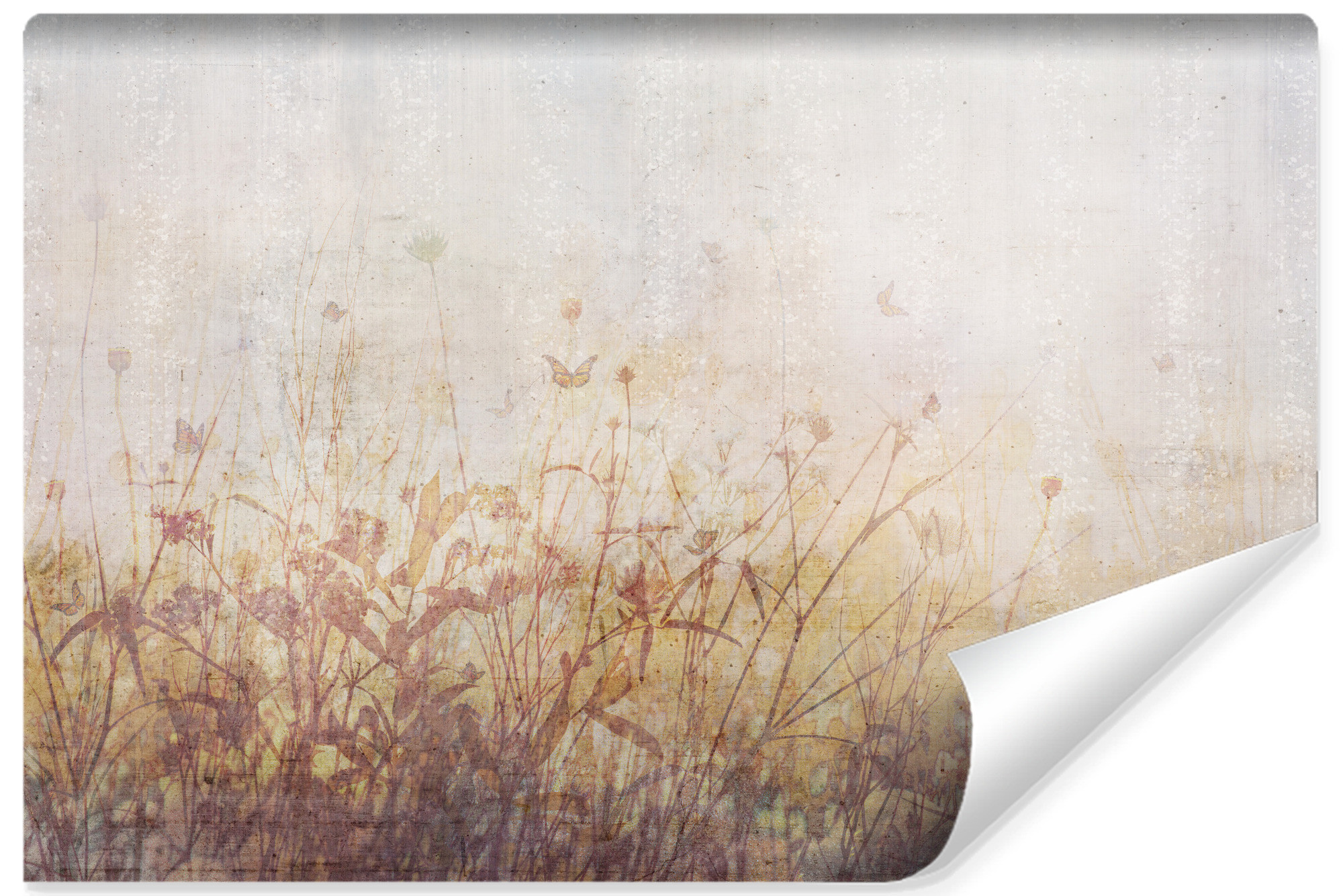 Fototapeta Abstrakcyjne Kwiaty Na Betonie 90x60cm