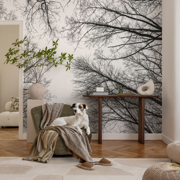 Samoprzylepna tapeta Nagie gałęzie 104x70 Wallfluent