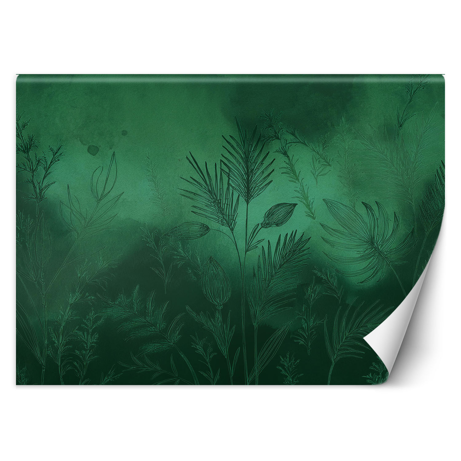 Feeby Fototapeta Zielona abstrakcja botaniczna