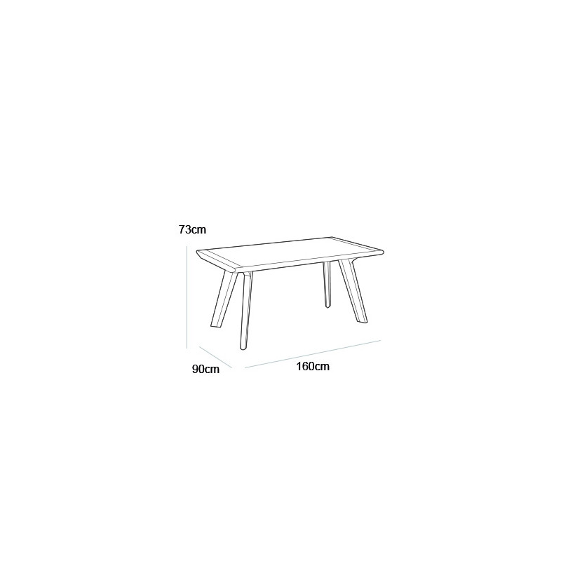 Table de jardin Dante 160 x 95 cm ALLIBERT