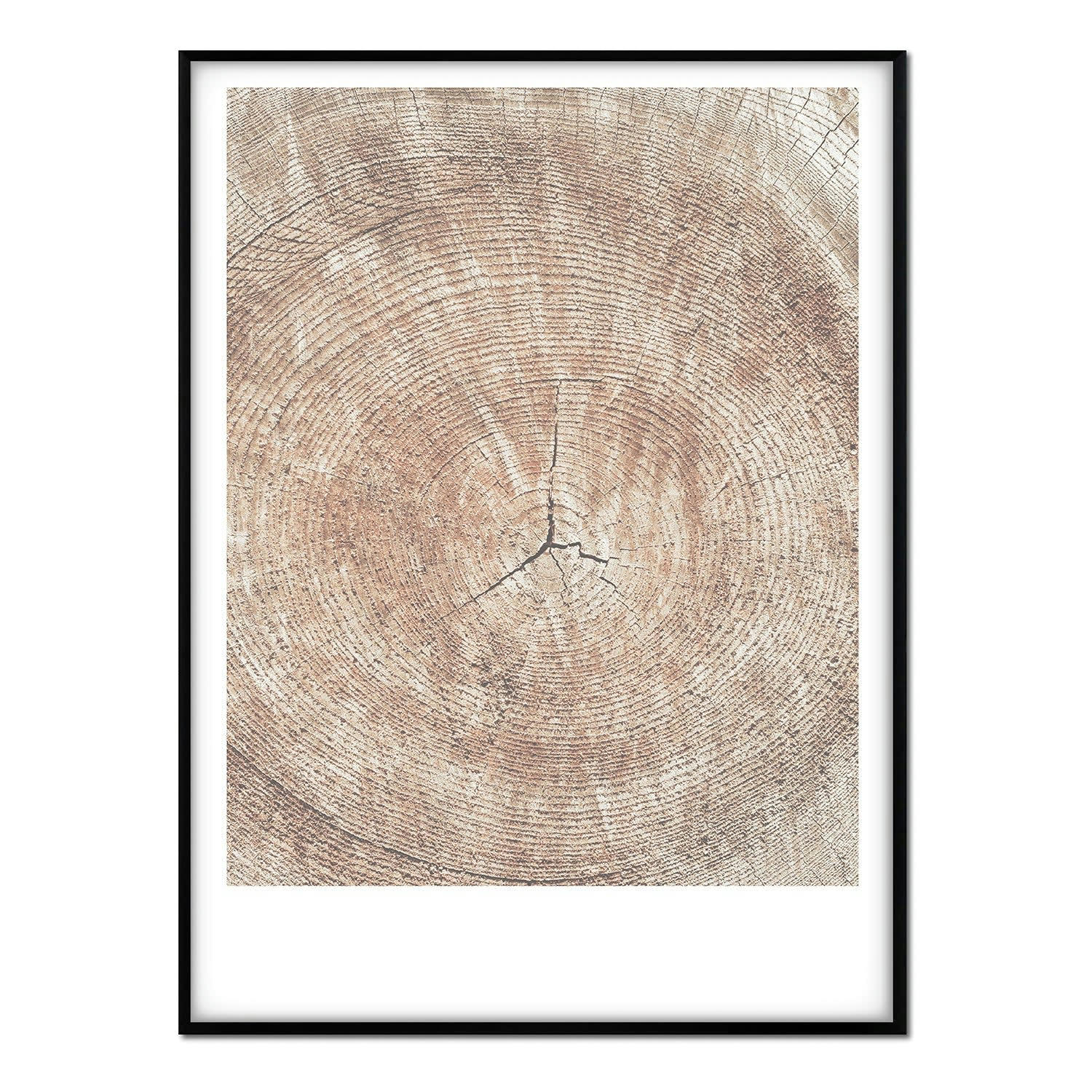 BOSQUE - Affiche avec cadre noir - Anneaux d'un tronc - 30x40