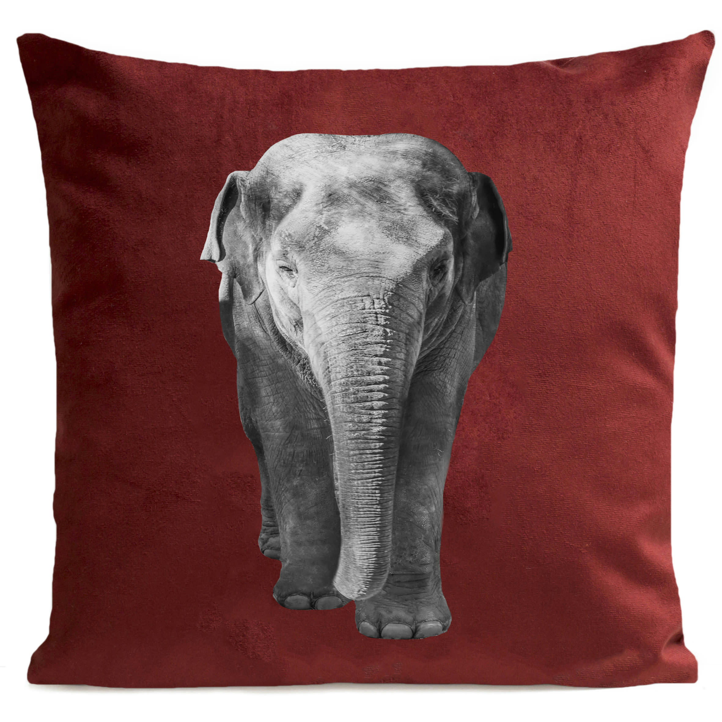 - Coussin jungle elephant suédine rouge 40x40cm