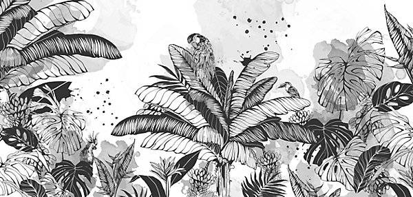 Papier peint panoramique Dans la jungle, Noir et blanc 225 x 250cm