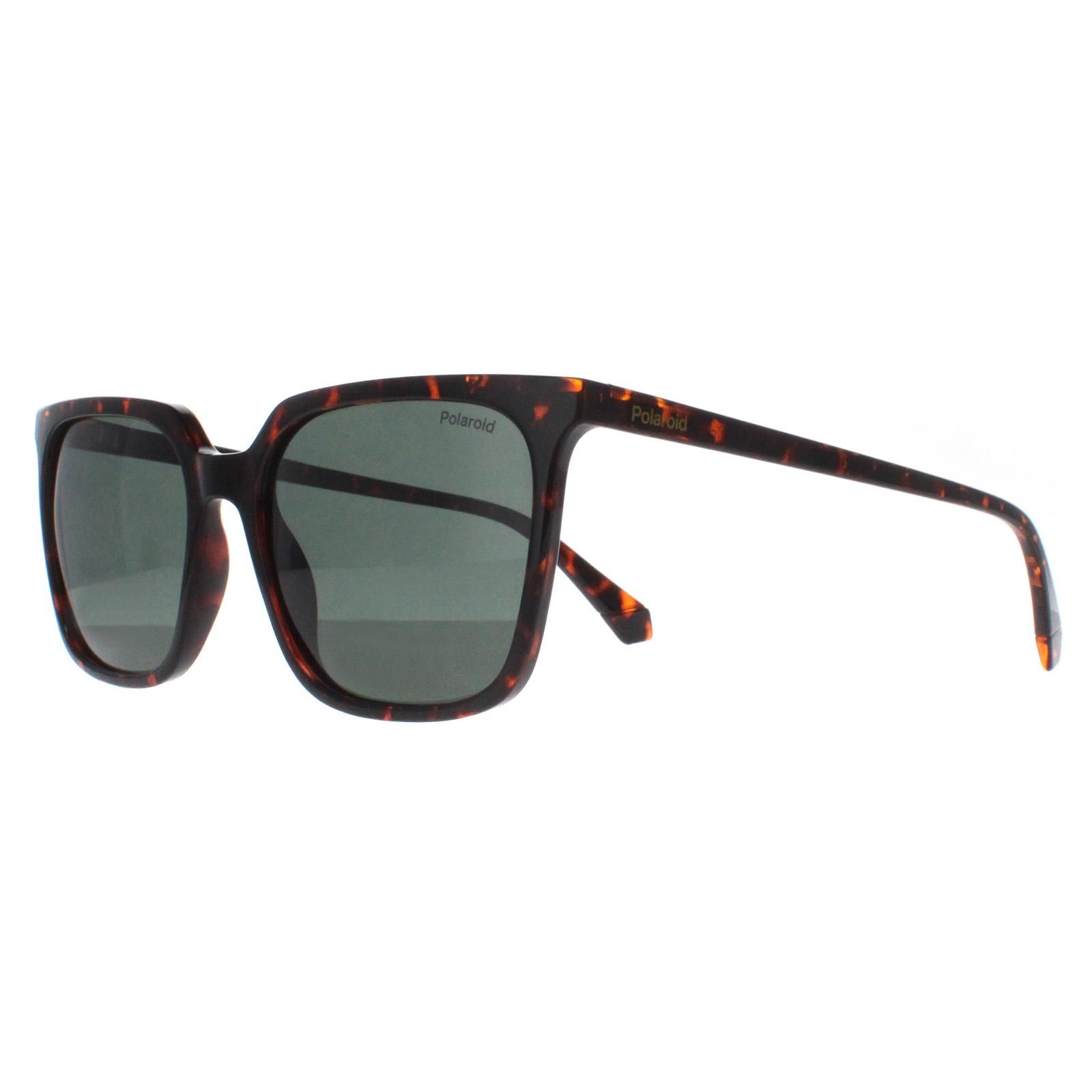 Polaroid Square Havana Green Polarized PLD 4163/S