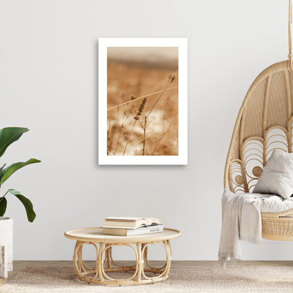 Feeby Obraz na płótnie, Delikatna trawa boho 40x60