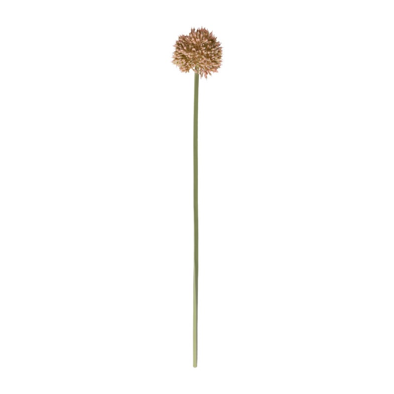 Kunstbloem allium - diverse varianten - 50 cm