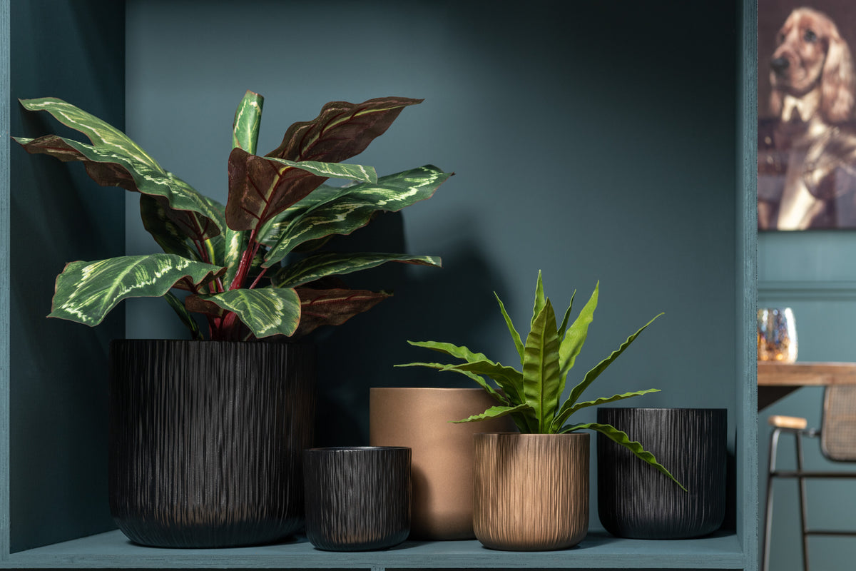 J-Line bloempot Gen - keramiek - zwart - XXS - 2 stuks - Ø 7.5 cm