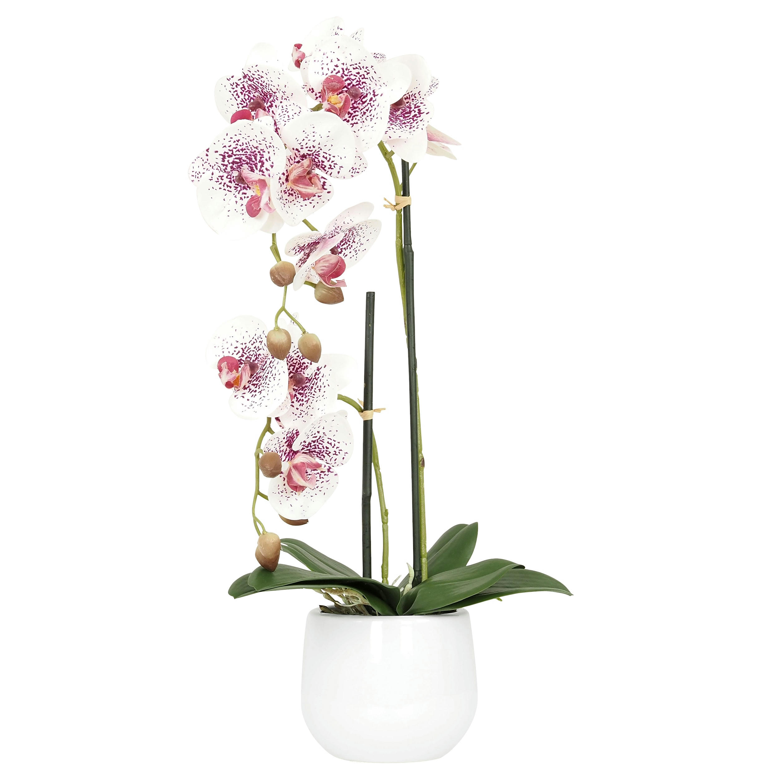 - Orchidées artificielles blanc-rose 50cm
