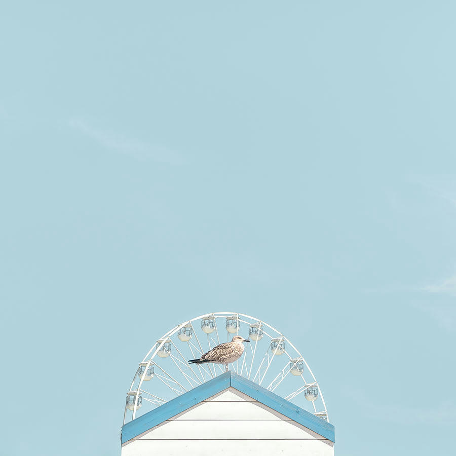 L'OISEAU ROUE - Photographie d'art de Laura Sanchez 80x80 cm sur alu