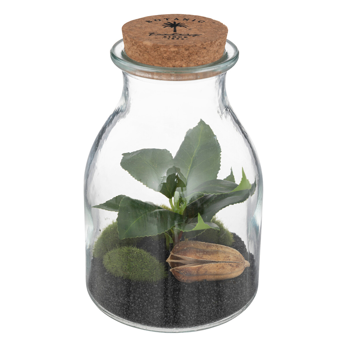 Terrarium, glass "Bota" H.19,5 cm