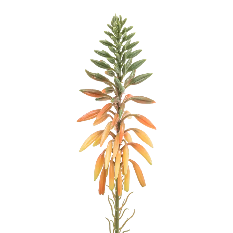 Kunstpflanze Aloe Vera