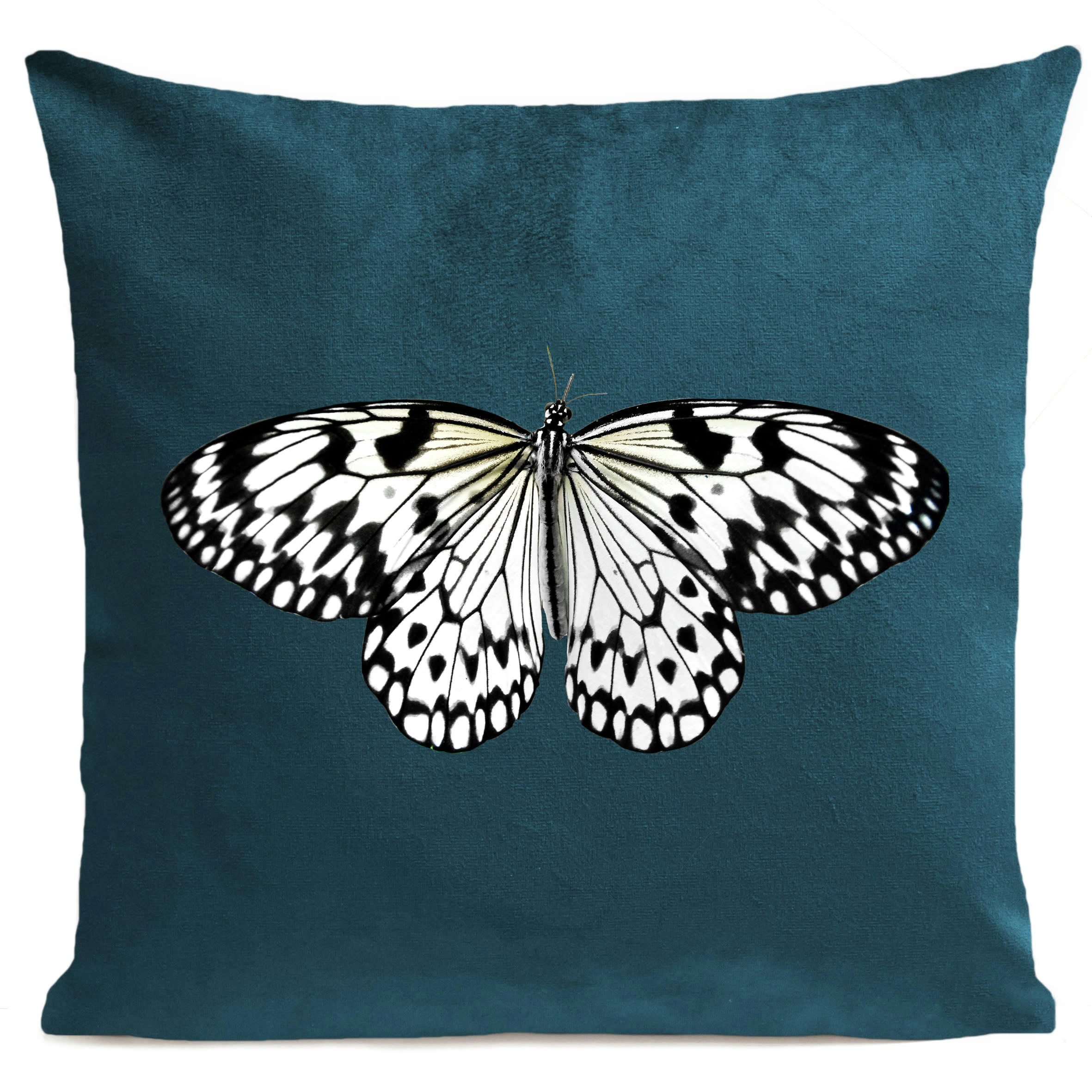 - Coussin papillon insecte suédine vert 40x40cm