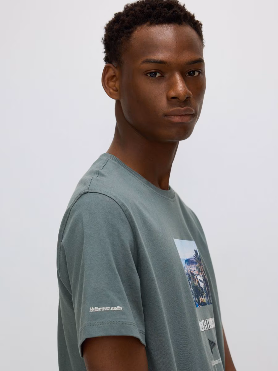 Regular Fit T-Shirt With Print
