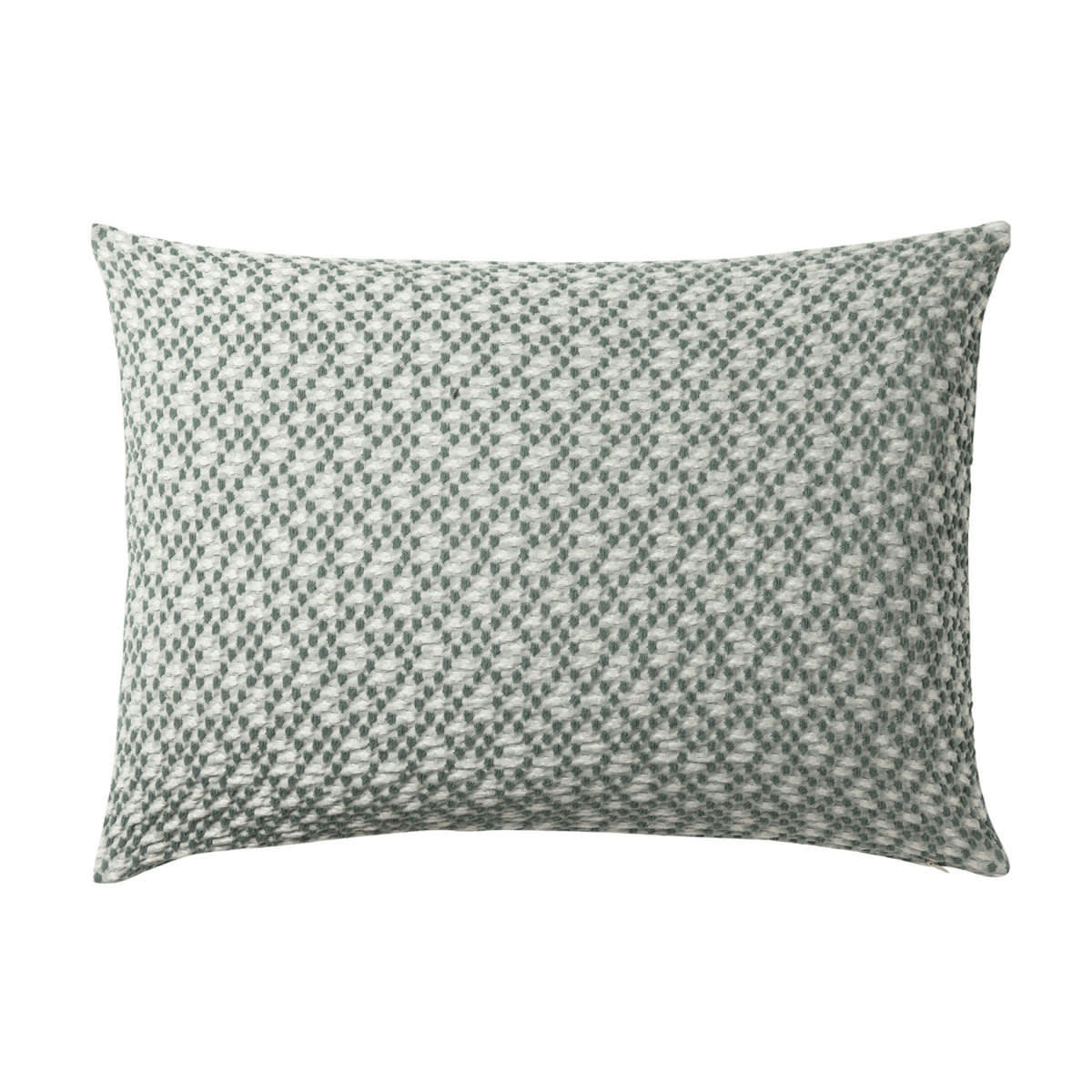 MIRAGE - Coussin en coton tissé bleu et vert 40x60