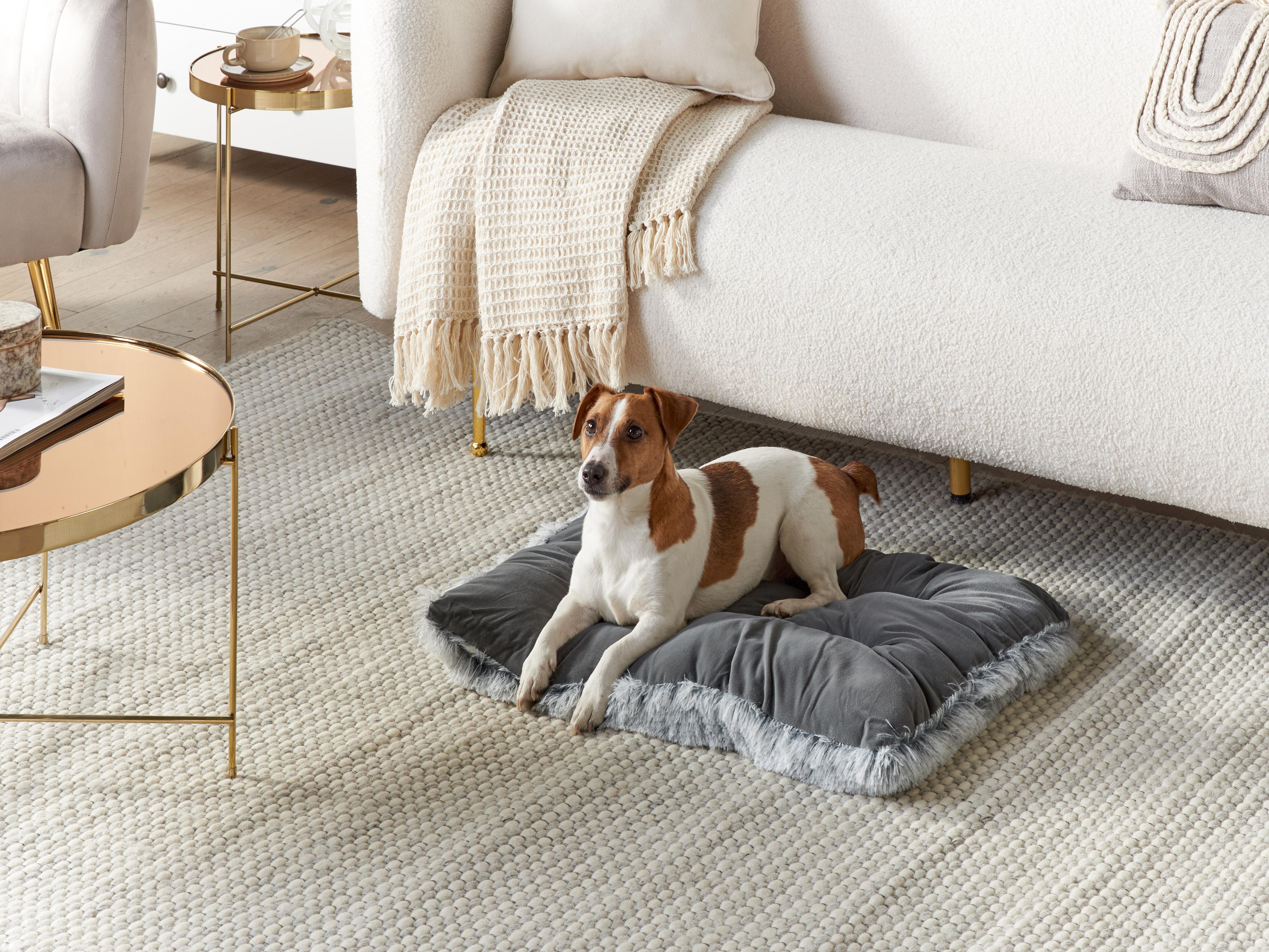 Pet Bed ERGANI Velvet Grey