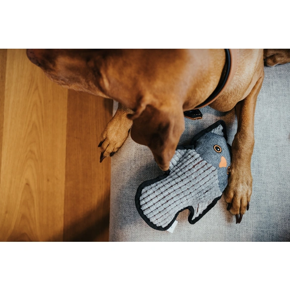 Hundespielzeug, mehrfarbig