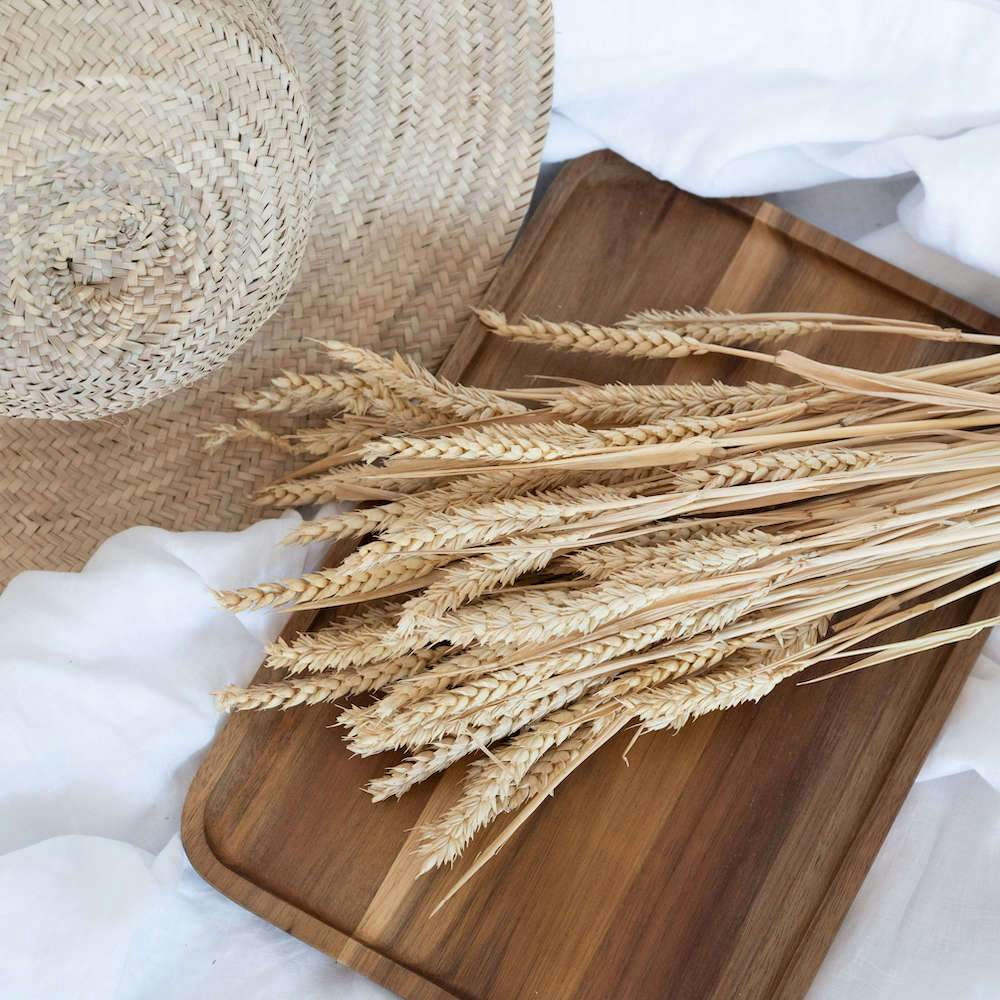 - Botte Blé séché jaune