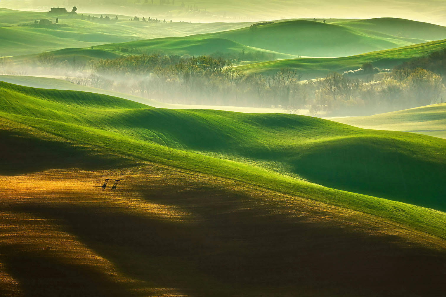 - Tableau nature collines brumeuses imprimé sur alu 45x30cm