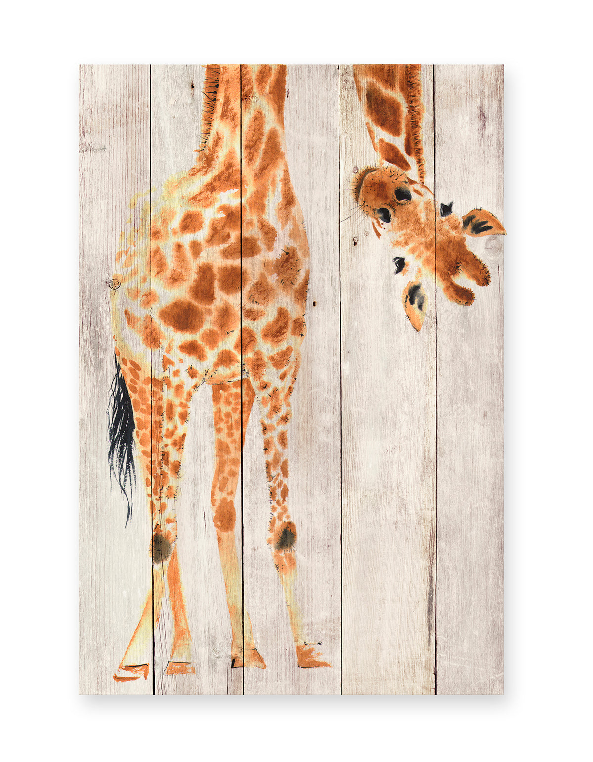 Really Nice Things - Paneel - 60x40 cm - Giraffe