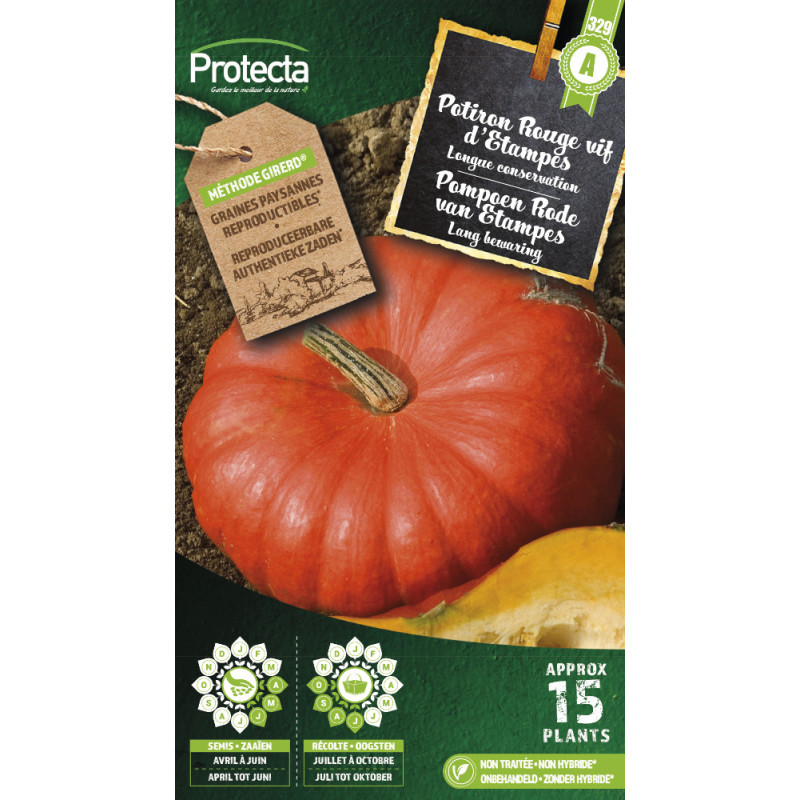 Semences de potiron Rouge vif d'Etampes PROTECTA