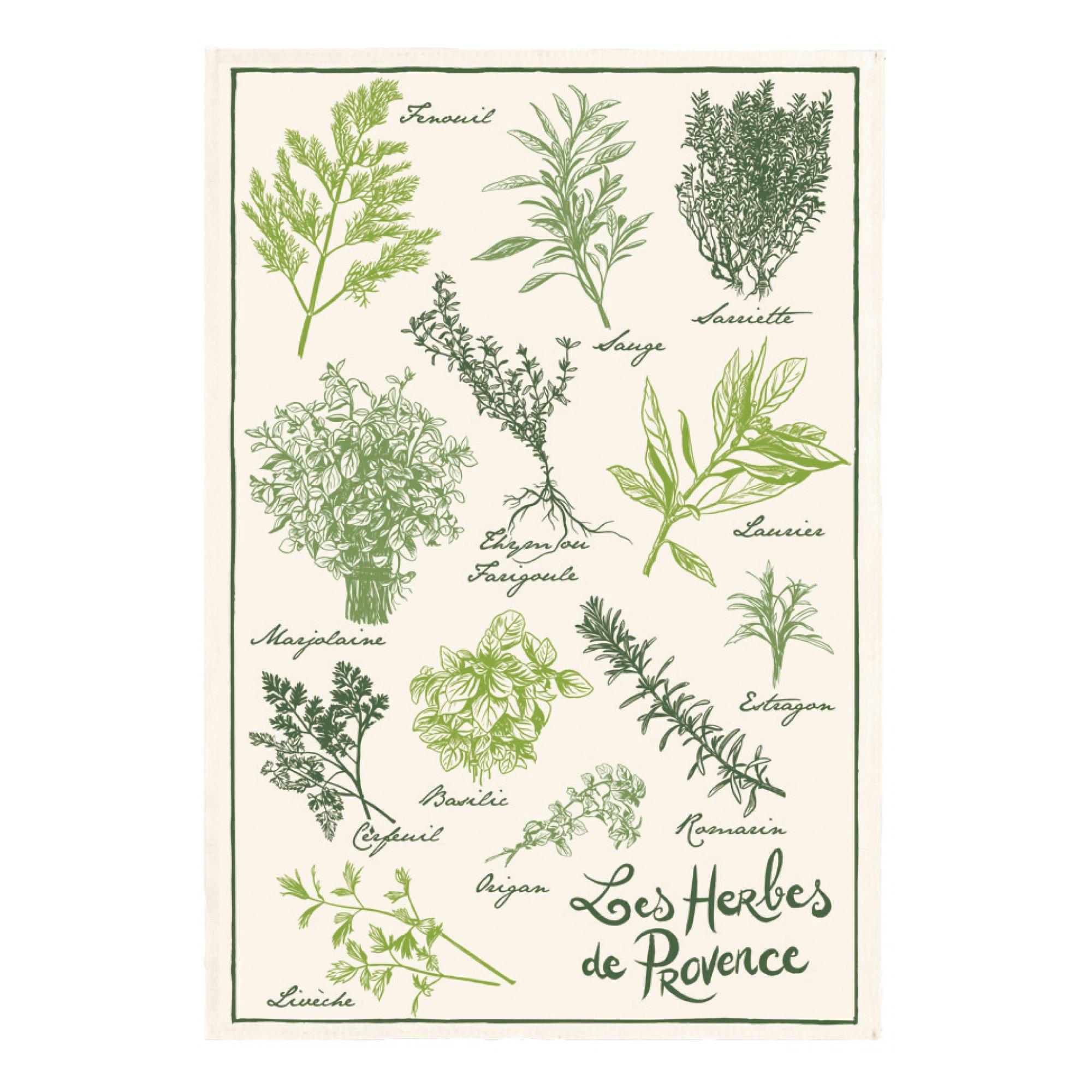 PROVENCE - COTE D'AZUR - Torchon les herbes de provence en coton ecru 48 x 72