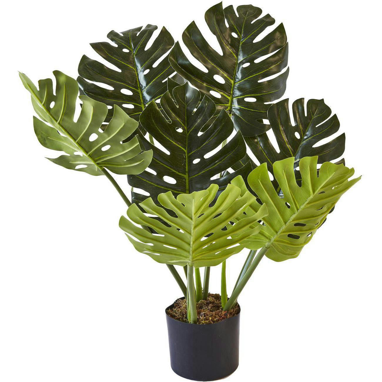 OPPA - Plante artificielle polyethylène H72cm