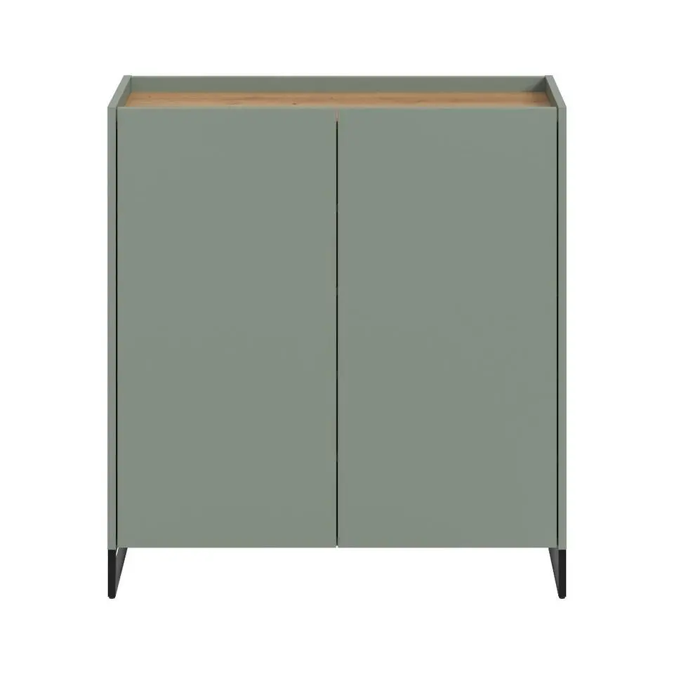 Hioshop Drive schoenenkast 2 deuren salvie decor