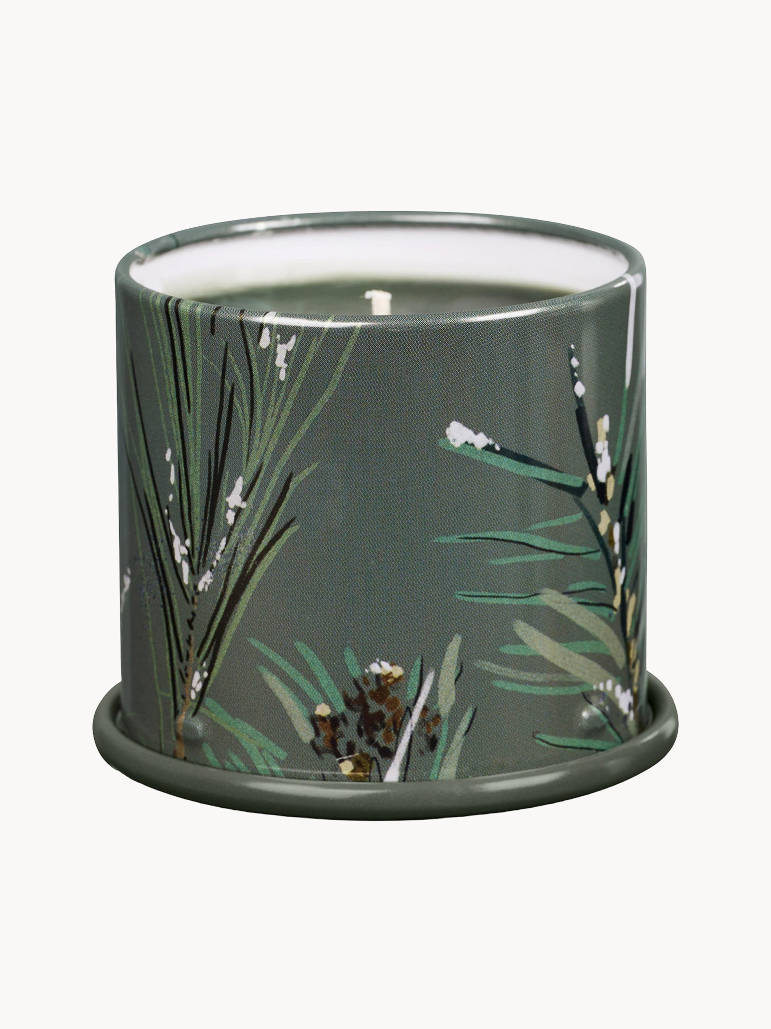 Duftkerze Vanity Tin (Tannennadeln, Zimt & Eichenmoos)