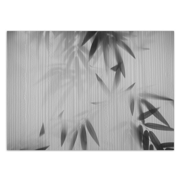 Feeby Fototapeta, Liście we mgle abstrakcja 150x105