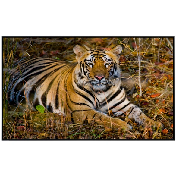 Infrarotheizung »EcoHeat - Tiger«, Matt-Effekt