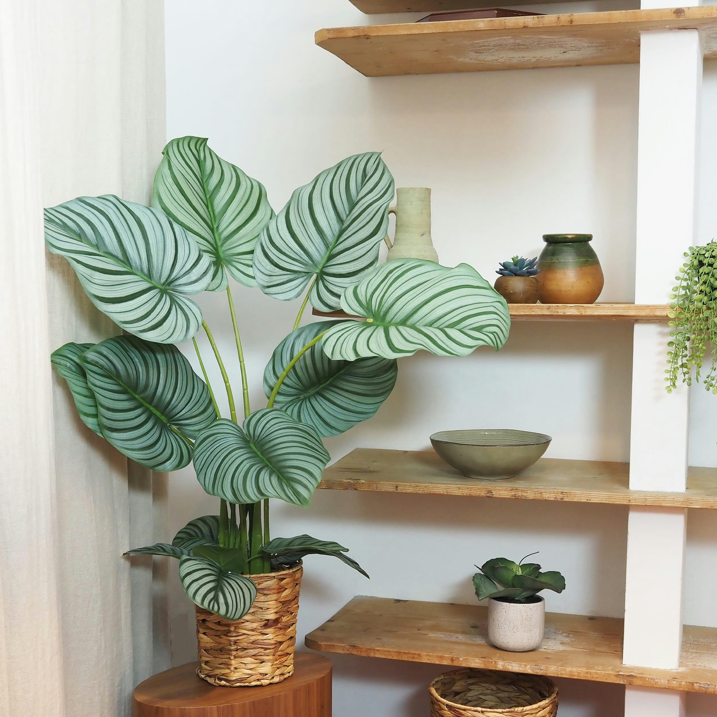 - Plante verte calathea artificiel 100cm
