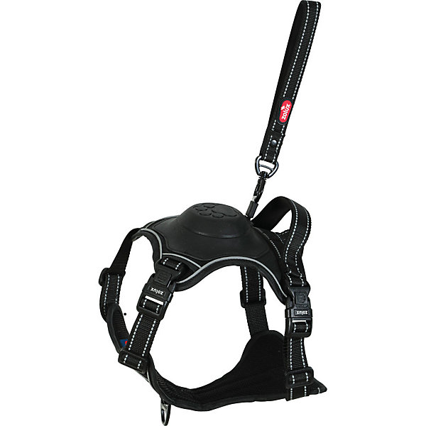 Harnais et laisse enrouleur intégré XL noir pour chien max 77 kg
